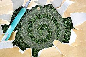 Torn paper with cutter on grass