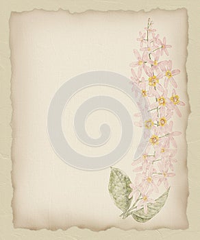 Torn Paper Flower Background 1