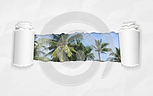 Torn paper with palm trees against blue sky in opening background