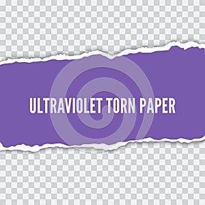 Torn paper realistic vector illustration