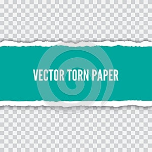 Torn paper realistic vector illustration
