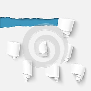 Torn paper with a roll collection