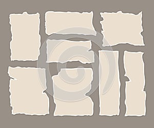 Torn Paper Scrap Set with Copy Space Flat Illustration