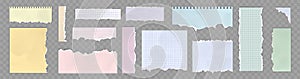 Torn paper sheets, colorful notebook pages set