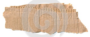 Torn piece of cardboard. Blank paper piece for message, reminder, sign, tag, label. Corrugated ripped cardboard empty background