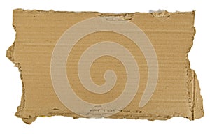 Torn Piece of Cardboard