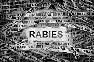 Torn pieces of paper with the word Rabies photo