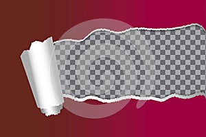 Torn red paper on transparent background. Vector banner template. Stock image