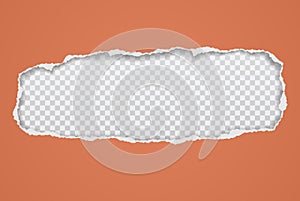 Torn, ripped orange paper hole with soft shadow, frame for text is on white squared background. Vector illustration