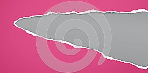 Torn, ripped violet paper strip with soft shadow is on darl grey background for text. Vector illustration photo