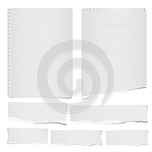 Torn ruled and blank note, notebook, paper strips, sheets for tex or message stuck on white background.