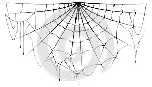 Torn semicircular spider web over white background