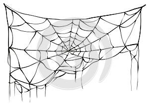 Torn spider web on white background