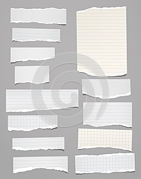 Torn of vertical white, lined note, notebook paper strips, pieces stuck on grey background. Vector illustration