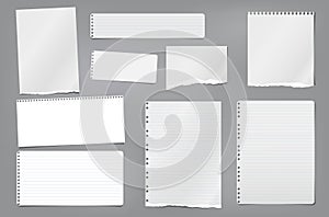 Torn white blank and lined note, notebook paper strips, pieces and sheeds stuck on dark grey background. Vector