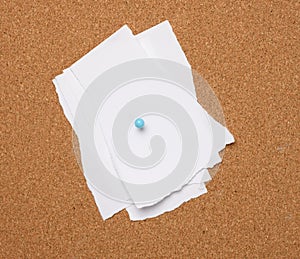 Torn white blank white sheet of paper affixed with a plastic button on a brown cork board