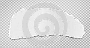 Torn white grainy note, notebook paper strip, piece stuck on squared background. Vector illustration