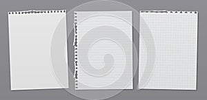 Torn of white lined, math note, notebook paper are on dark grey background for text, advertising or design. Vector