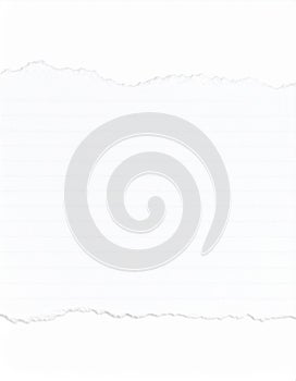 Torn White Lined Paper Texture Background