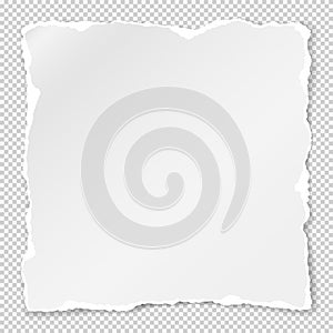 Torn of white note, notebook paper strip, piece stuck on grey squared background. Vector illustration