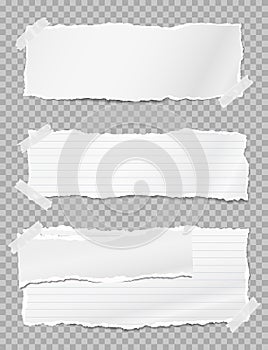 Torn white note paper pieces with soft shadow stuck on grey squared background. Vector illustration