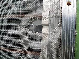 Torn Window Screen photo