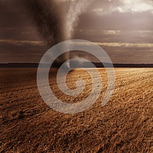 Tornado in field