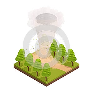 Tornado In Forest Composition