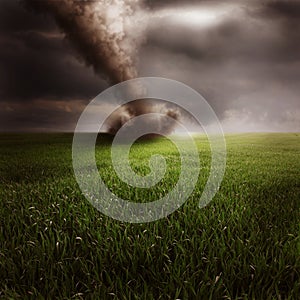 Tornado in green field