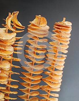 Tornado potatoes chips - spiral french fries