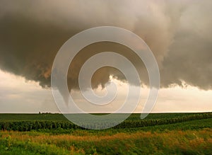A tornado touches down in a cornfield in Iowa.