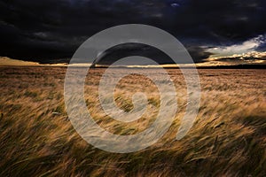 Tornado twister over fields in Summer storm photo