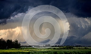 Tornado Warned Storm