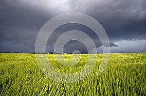 tornado warned storm in Kentucky