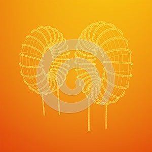 Toroidal Coil Inductor