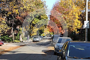 A a Toronto beighborhood street with cars parked