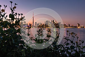 Toronto, Canada - August 4, 2019 : Toronto skyline lit up just after sunset,