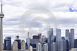 Toronto skyline with modern tall financial buildings in the background. Skyscrapers in Toronto