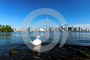 Toronto city skyline, Ontario, Canada