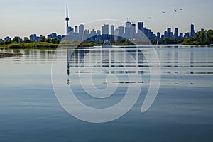 Toronto cityscape with skyscraper, calm lake water. urban skyline background