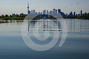 Toronto cityscape with skyscraper, calm lake water. urban skyline background