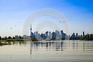 Toronto cityscape with skyscraper, calm lake water. urban skyline background