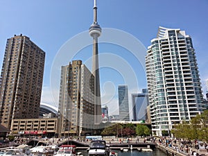 Marina overlooking Toronto Harbourfront