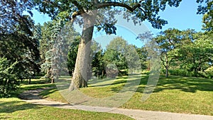 Toronto High Park landscape view