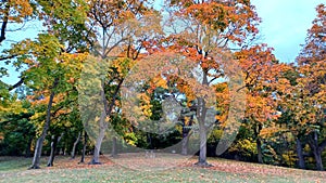 Toronto High Park landscape view in fall season