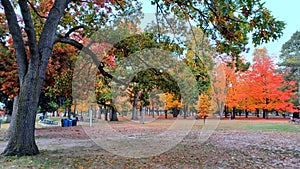 Toronto High Park landscape view in fall season