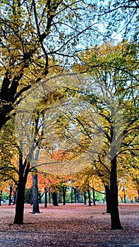 Toronto High Park landscape view in fall season