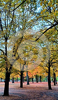 Toronto High Park landscape view in fall season