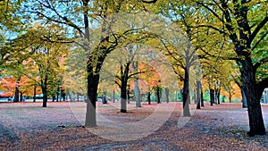 Toronto High Park landscape view in fall season