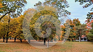 Toronto High Park landscape view in fall season